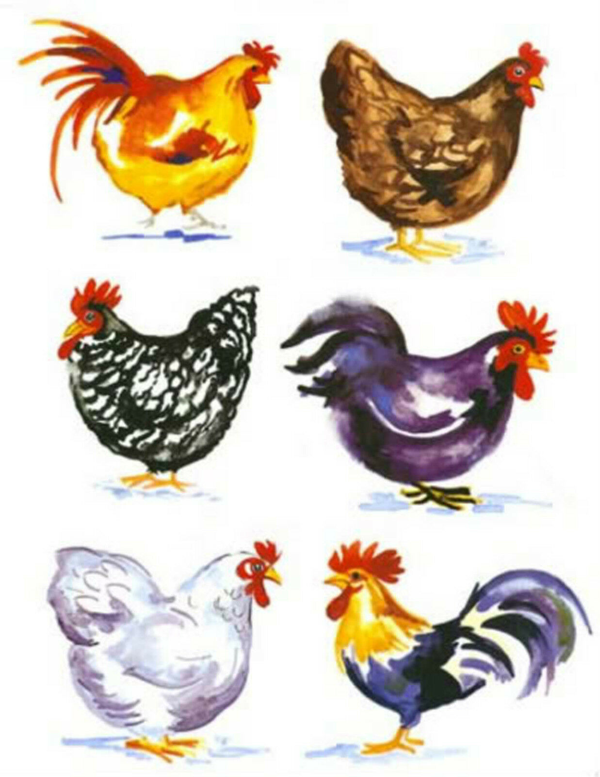 6 Different Barnyard Rooster Fowl Set Select-a-size Ceramic Waterslide Decals Bx