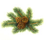 4 Pine Cone Pinecone Select-a-size Waterslide Ceramic Decals Tx