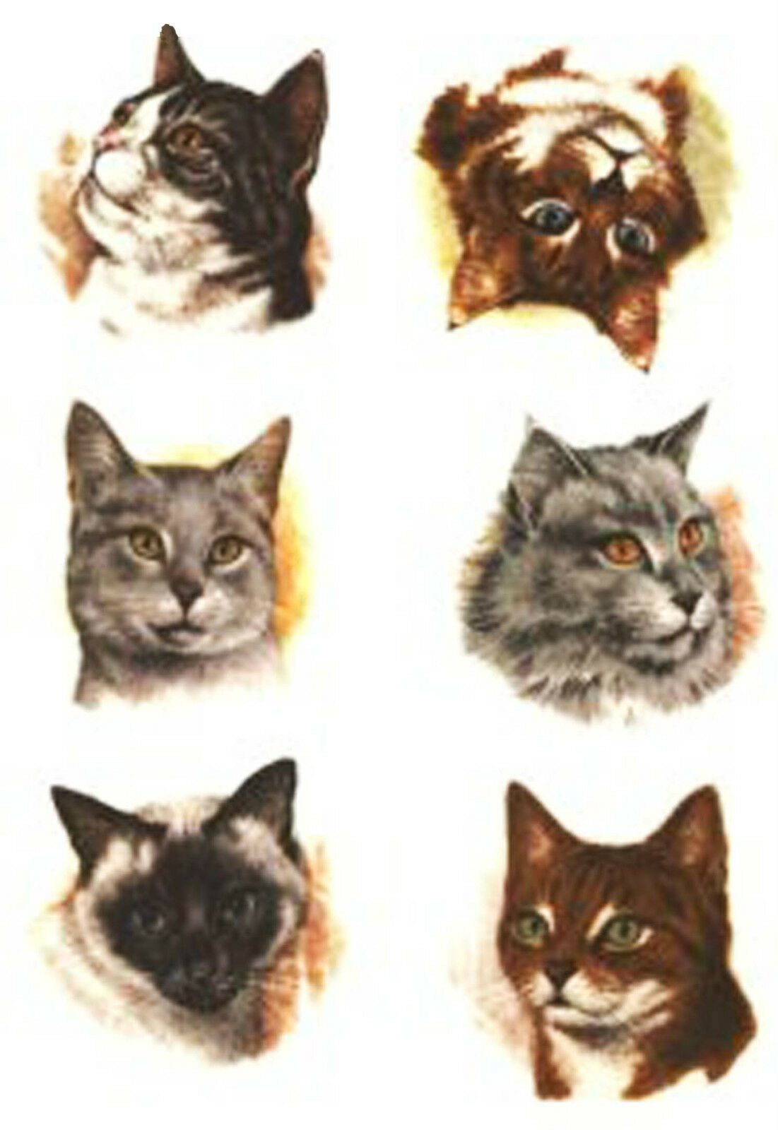 Kitten Kitty Cat Feline Animal Head Select-a-size Waterslide Ceramic Decals Bx